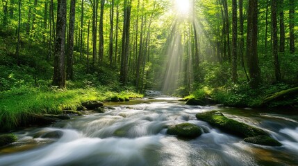 Obraz premium An ancient forest with towering trees, dappled sunlight filtering through the leaves, and a winding river flowing through the underbrush