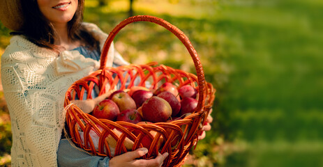 Woman harvesting apples in a farm, highlighting the health benefits of fruits and the importance of proper nutrition.