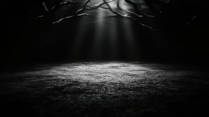A dark, foreboding forest with beams of light piercing through the canopy