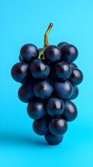 Fototapeta premium Juicy Black Grapes Photo on Blue Background