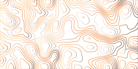Fototapeta premium Topographic canyon geometric map relief texture with curved layers and shadow. abstract White background with a beautiful pattern, Topographic contour lines vector map seamless pattern vector. 