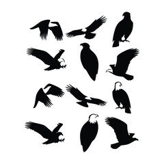 falcon eagle silhouettes isolated on white