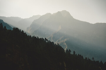 mountains in the fog