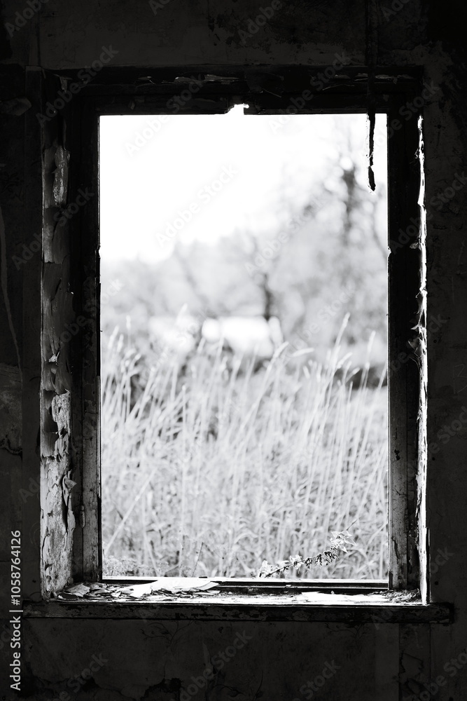 Poster a classic window with a view, perfect for architectural or nostalgic themes.