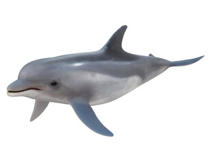 Dolphin Isolated