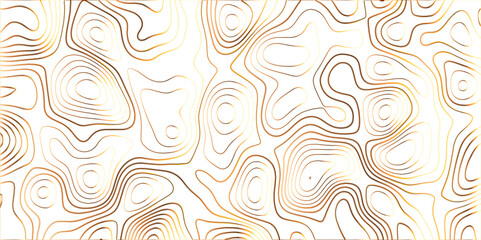 Fototapeta premium Topographic canyon geometric map relief texture with curved layers and shadow. abstract White background with a beautiful pattern, Topographic contour lines vector map seamless pattern vector. 
