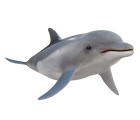 Dolphin Isolated