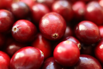 close up view of red cranberries, full frame photo	