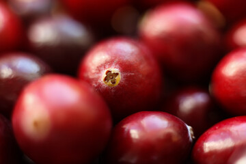close up view of red cranberries, full frame photo
