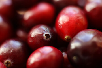 close up view of red cranberries, full frame photo	