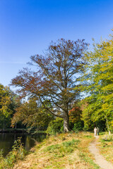 Autumn in the Braak nature area in Paterswolde, Netherlands