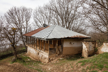 Mountain village with walnut trees in winter