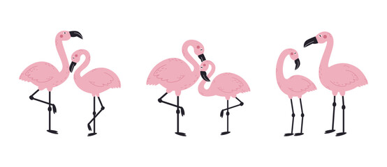 Flamingo couples love each other. Pink exotic bird on white background. 