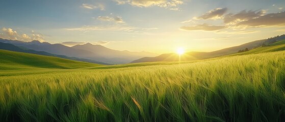 Obraz premium A field of green grass stretches out before the sun's descending arc in the distance Mountains loom behind