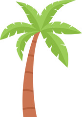 Simple vector illustration of a tropical palm tree with green leaves on a white background