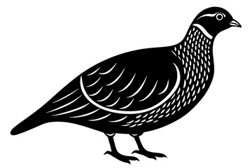 Partridge Bird Silhouette Vector Classic Wildlife Illustration Design