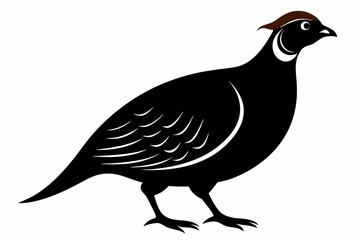 Partridge Bird Silhouette Vector Classic Wildlife Illustration Design
