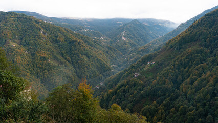 Fototapeta premium Autumn