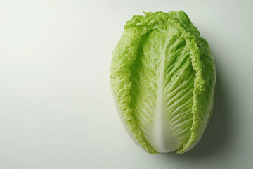 Fototapeta premium Fresh Lettuce on light green background.
