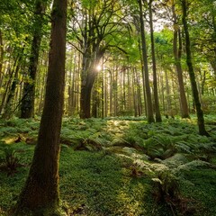 Obraz premium a lush green forest with towering trees and sunlight filtering through the leaves capturing the essence of nature s beauty