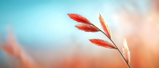  A tight shot of a vibrant red bloom against a hazy backdrop of blue and orange, featuring a soft, indistinct sky