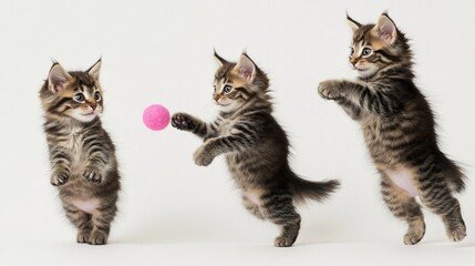 Playful Kittens Engaging With a Pink Ball in a Bright Indoor Space Generative AI