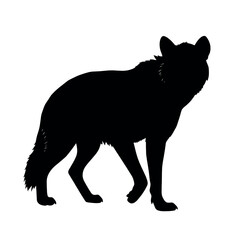 a hyena standing on blank space vector silhouette, isolated white