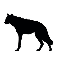 a hyena standing on blank space vector silhouette, isolated white