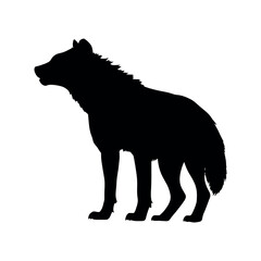 a hyena standing on blank space vector silhouette, isolated white