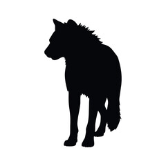 a hyena standing on blank space vector silhouette, isolated white