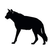 a hyena standing on blank space vector silhouette, isolated white