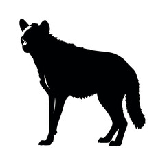 a hyena standing on blank space vector silhouette, isolated white