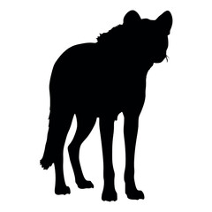 a hyena standing on blank space vector silhouette, isolated white