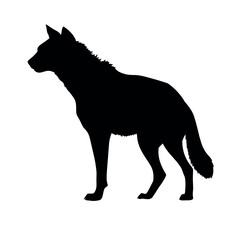 a hyena standing on blank space vector silhouette, isolated white