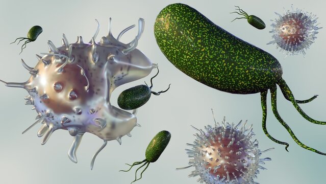 Phagocytosis is a cellular process where specialized cells called phagocytes engulf and digest foreign particles, such as bacteria, viruses, and cellular debris; 3D rendering.