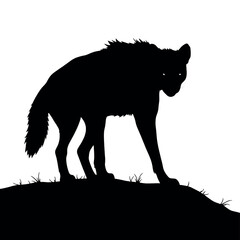 a hyena standing on blank space vector silhouette, isolated white