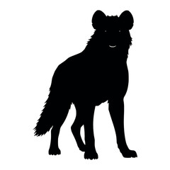 a hyena standing on blank space vector silhouette, isolated white