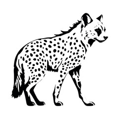 a hyena standing on blank space vector silhouette, isolated white