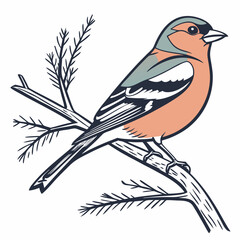 A detailed illustration of a Eurasian Bullfinch perched on a branch, showcasing its vibrant plumage and striking features.