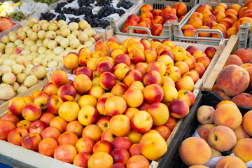 Peaches of different types in boxes at a local market. Colorful display of ripe peaches.