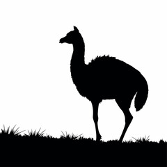 guanaco animal vector silhouette, isolated white background