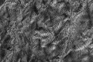 Black wool texture background. grey plush. mohair. fur