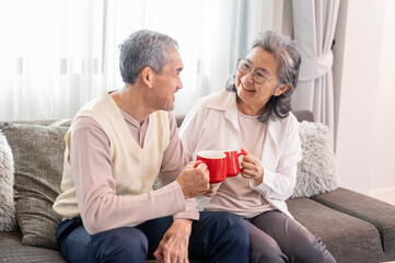 portrait happy senior couple with healthy drink relaxing together on sofa in the living room,family relationship,domestic life,bonding