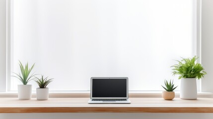 Fototapeta premium home laptop and plants