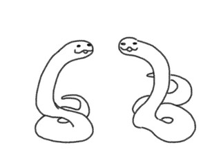 black and white snake