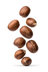 Fototapeta premium Floating pieces of roasted chestnuts, isolated on white background 