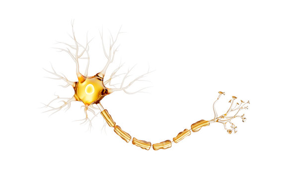 Transparent golden biology nerve cell, 3d rendering.
