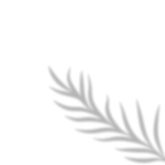 Leaves Shadow Overlay