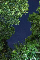 Naklejka premium astrofotografia, estrela e via láctea, na cidade de Alto Paraiso de Goiás, região da Chapada dos Veadeiros, Estado de Goiás, Brasil