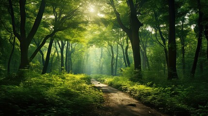 ecology digital green